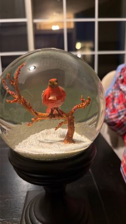 Snow glob Cardinal