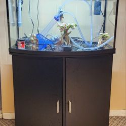 36 Gallon Hexagon Fish Tank With stand 