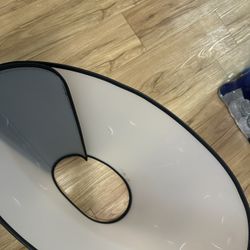 Large Dog Cone