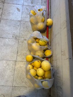 Free grapefruit