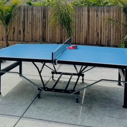 All Weather ping pong Table