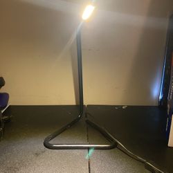 Adjustable Light 