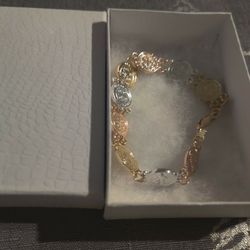 Pulcera