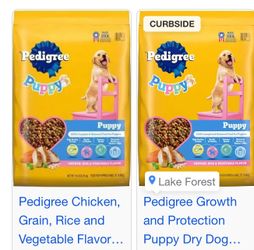 Doberman Puppys Food