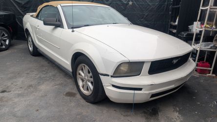2007 Ford Mustang STILL ALIVE