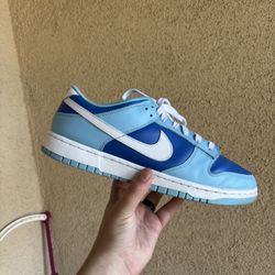 Nike Dunk Low Aragon
