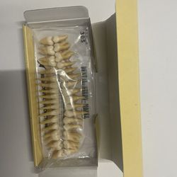 Kilgore Anatomical Teeth Set B3-305