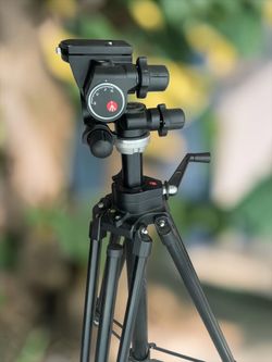 Camera Tripod and Mount
