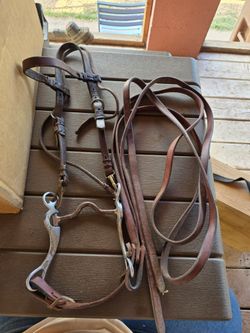 *>>Cortaro and I-10 <<* headstall with bit and reins $75 takes it Northwest Tucson