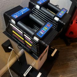 POWER BLOCKS With Stand And Smaller Blocks  Adjustable Dumbbells 