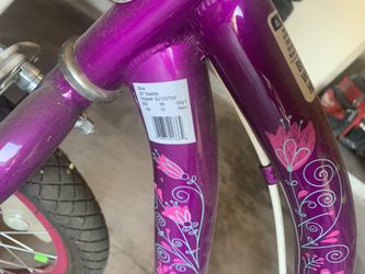 20” Deelite Purple Bike