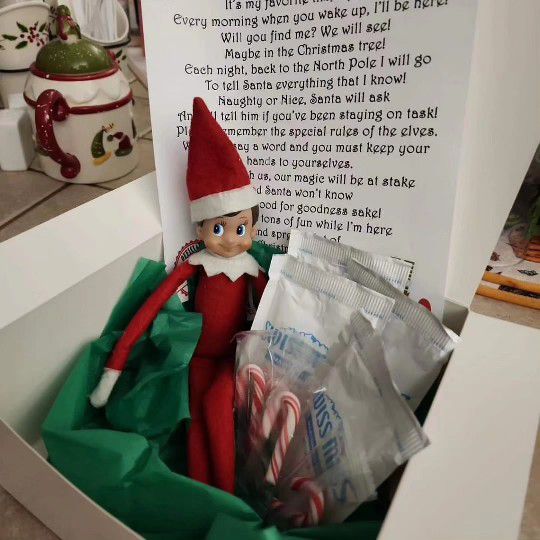 Christmas Elf Kit!
