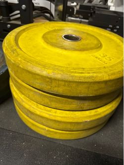 35LB Bumper Plates