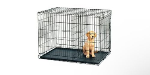Dog Cage