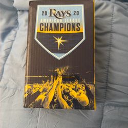 Tampa Bay Rays Replica Trophy 