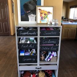 Dog supply organizer and feeder