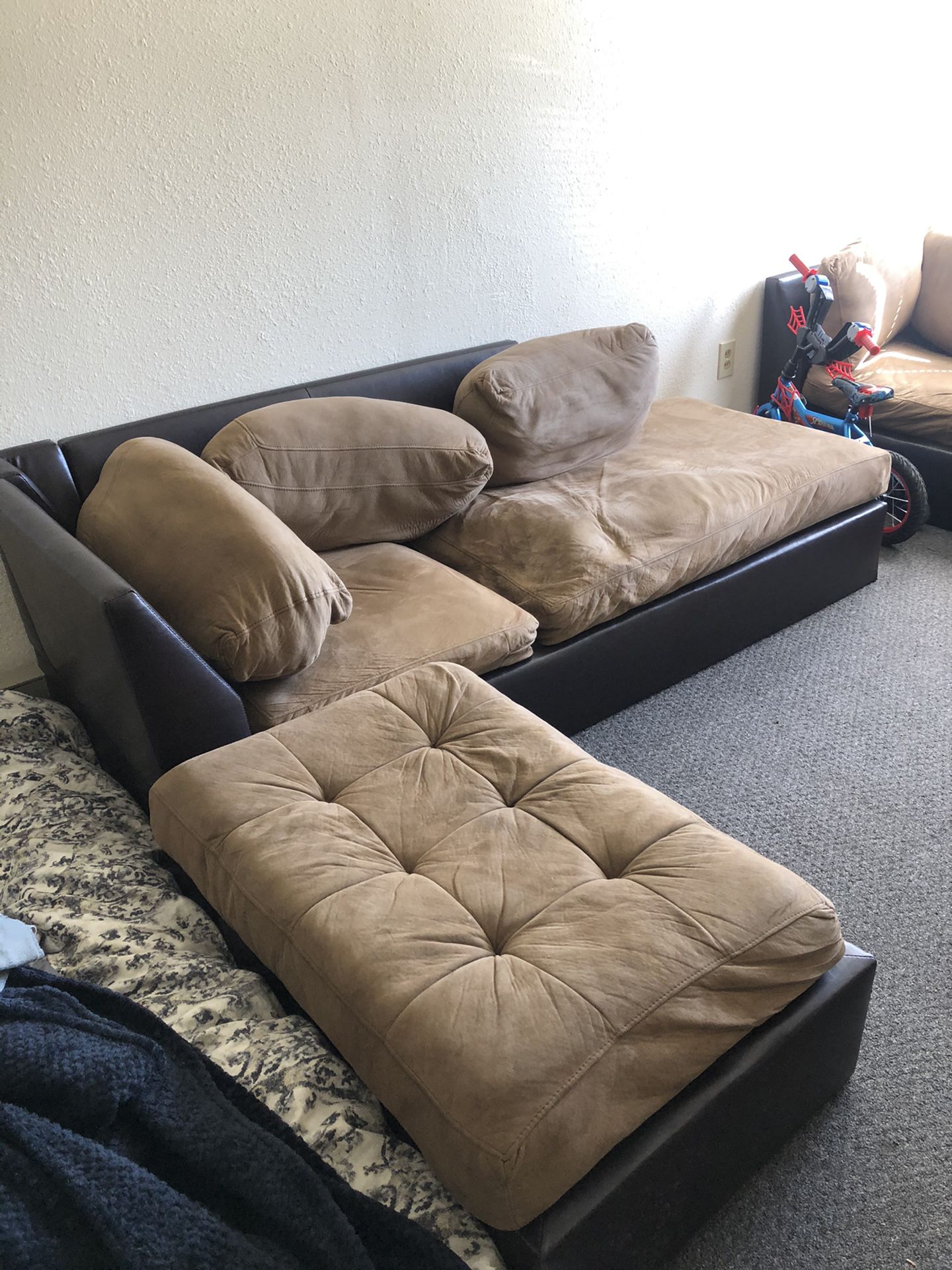Sectional Couch (cheap)