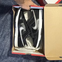 Nike Dunk Low Retro NAS 