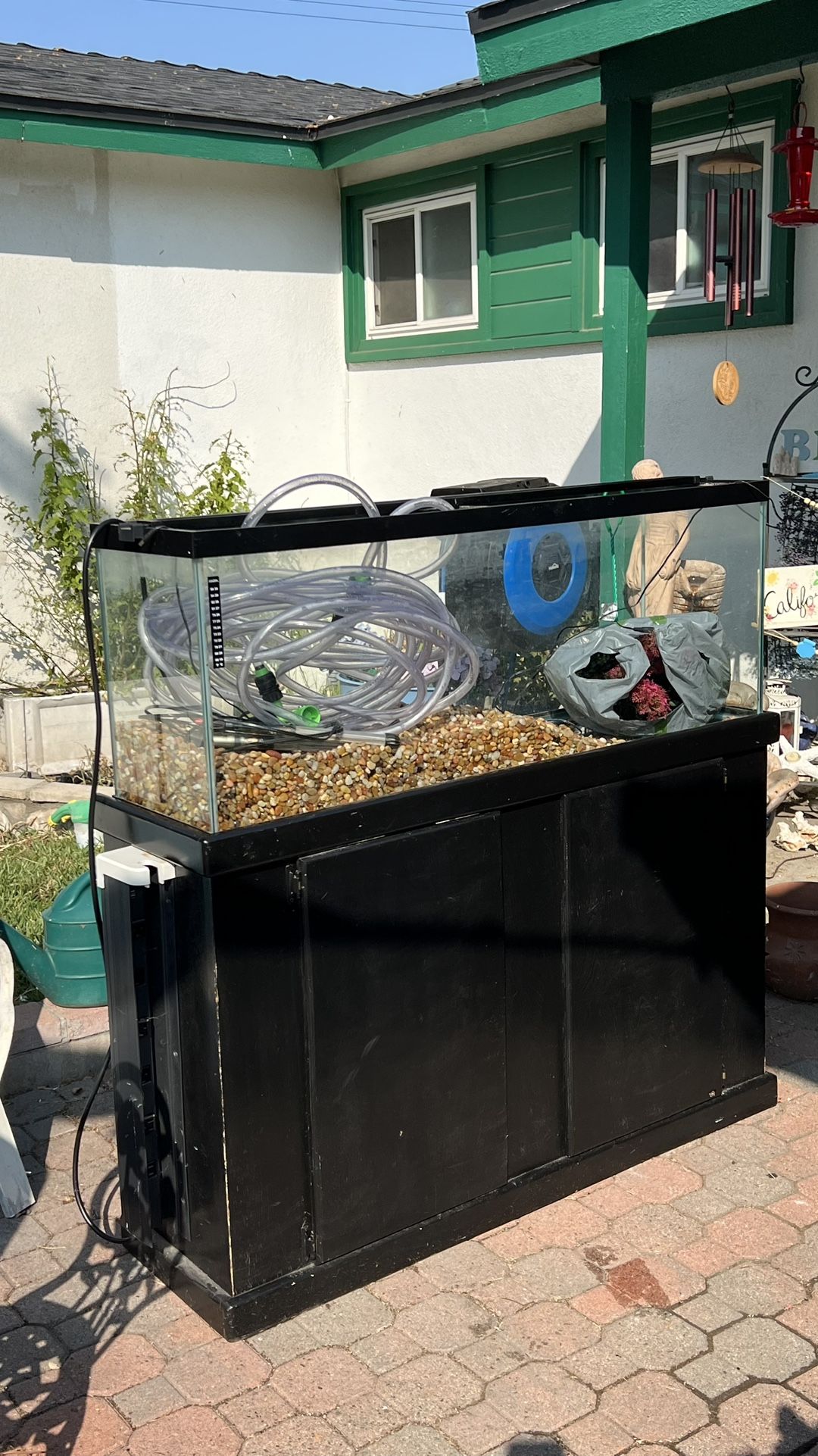 60 Gallon Freshwater Fish Tank