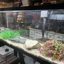55 Gallon Fish Tank 