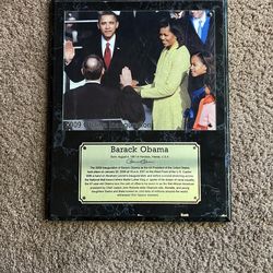 2009 Obama Inauguration 