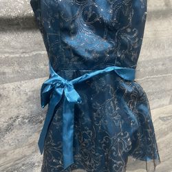 Blue Ribbon Sparkly Dress 