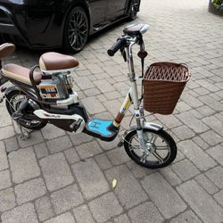 Electric Bike. 