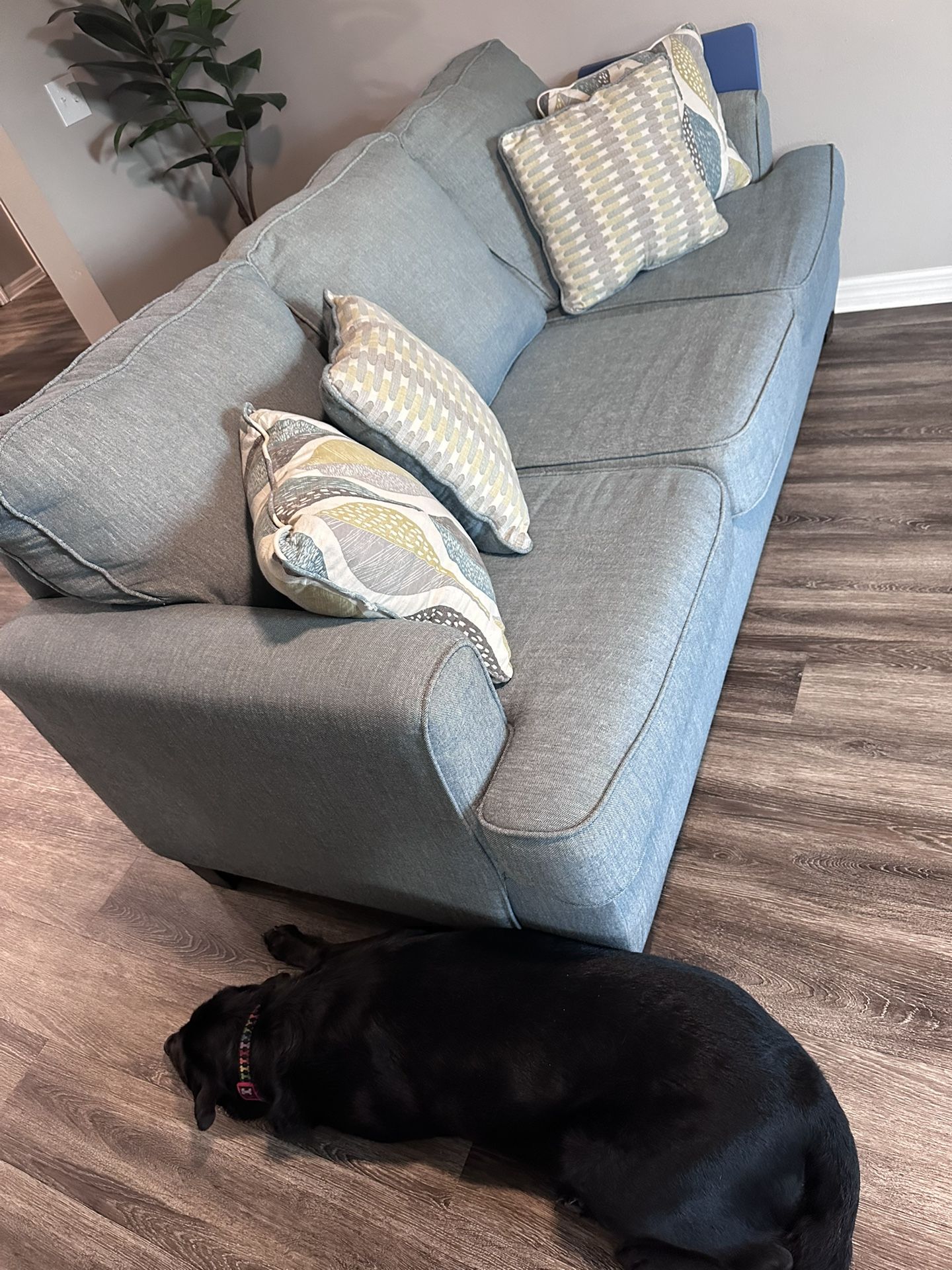 Queen Sofa Bed