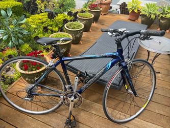 Specialized Rubyelite Carbon Woman’s Bike
