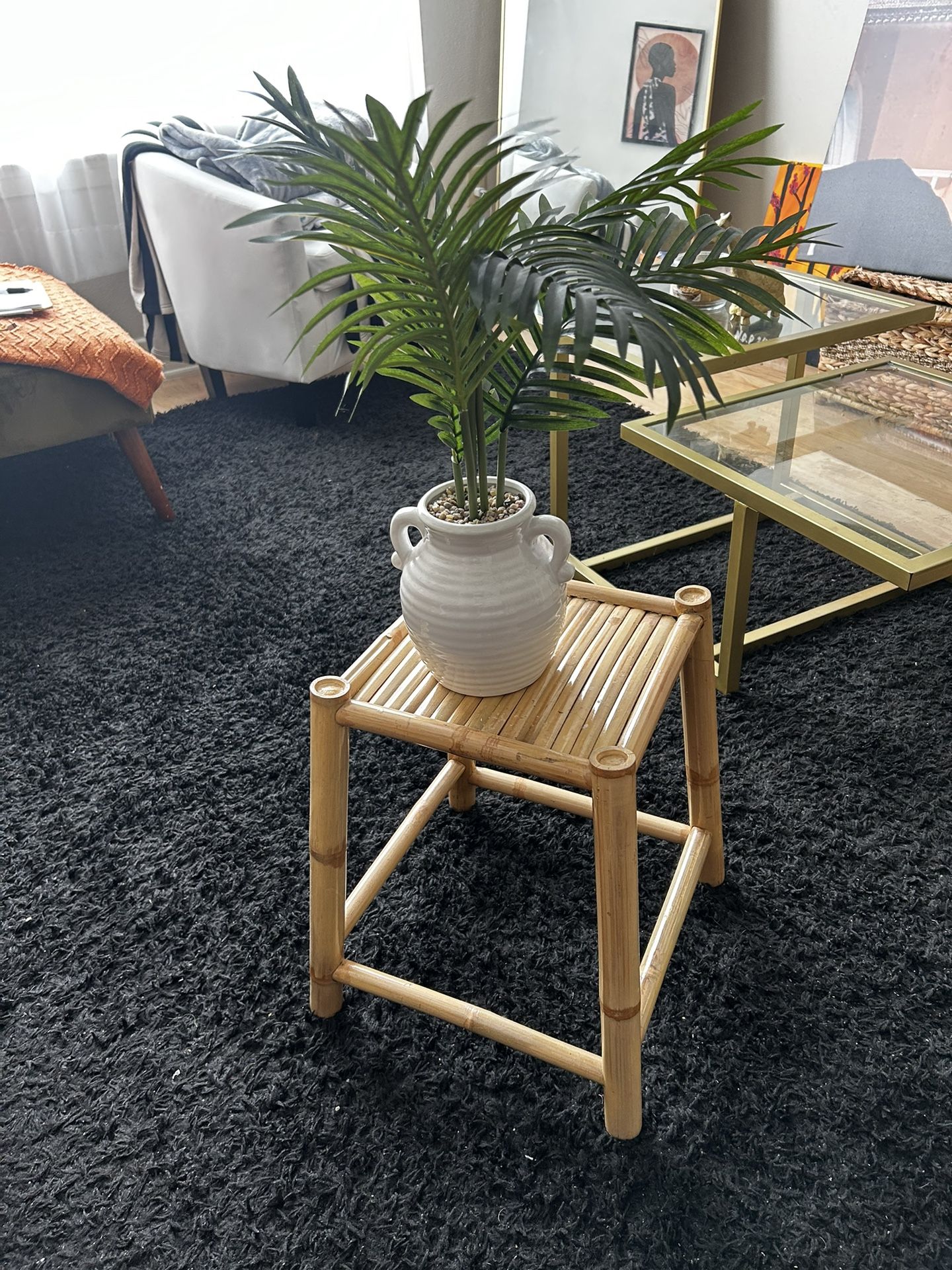 Plant And Stool Decoration