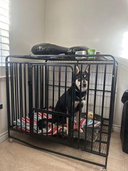 Dog Crate XL Heavy Duty 