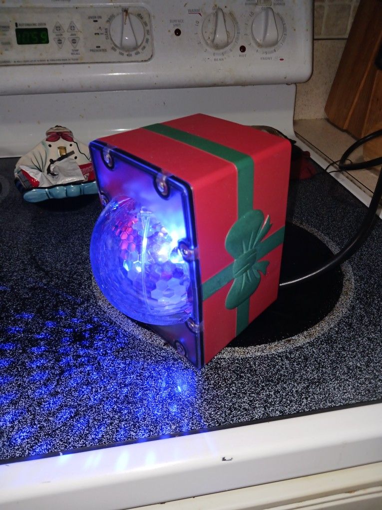 INDOOR OUTDOOR HOLIDAY LITES 10 FINAL PRICE