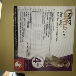 First Shield Dogs