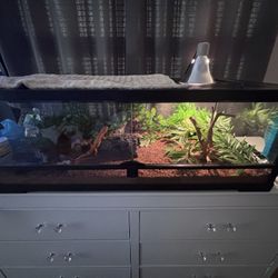 LG with Full 30 Gallon Terrarium
