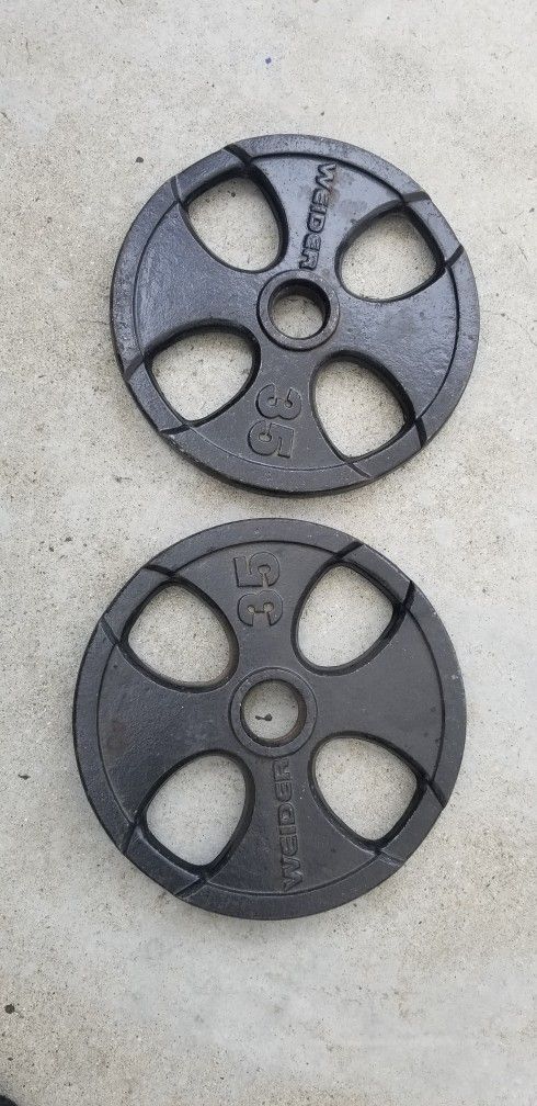 Big Weights 35 Lbs Set Olympic Weights