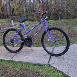 24" Murray Bicycle