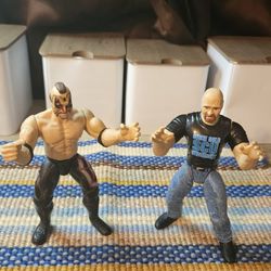Vintage Jakks Pacific WWE Figures Stone Cold And Animal