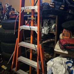 Prunning  Ladder Brand New 