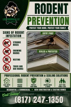 road prevention