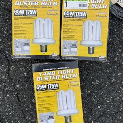 Yard Light Buster Bulb Fluorescent