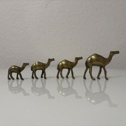 4 MINI Brass Camels