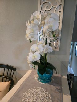 White orchid