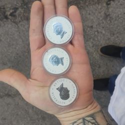 1 Troy OZ Silver Coins