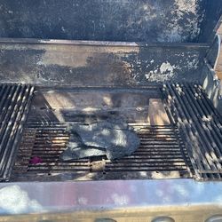 Barbecue Grill Using With Charcoal