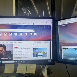 Monitors Both For $140