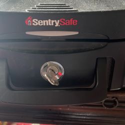 Sentry Safe Fireproof Lock Box