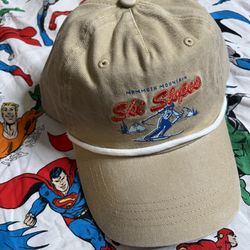 Mammoth Dad Hat “New”