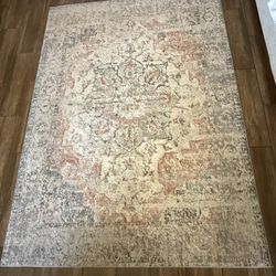 5 X 7 Area Rug