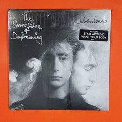 JULIAN LENNON The Secret Value Of DayDreaming 816401E LP Vinyl Mint