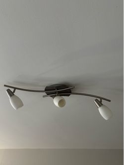 Fan and lamps